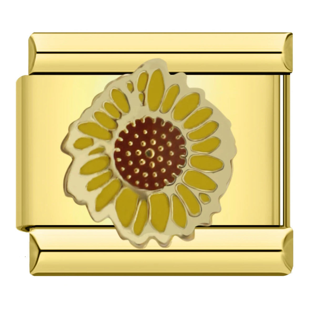 Sonnenblume