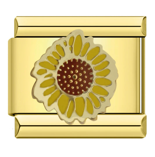 Sonnenblume