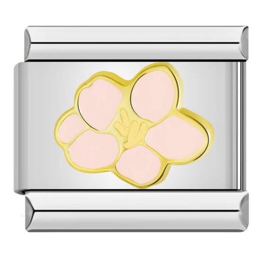 Rosa Blume