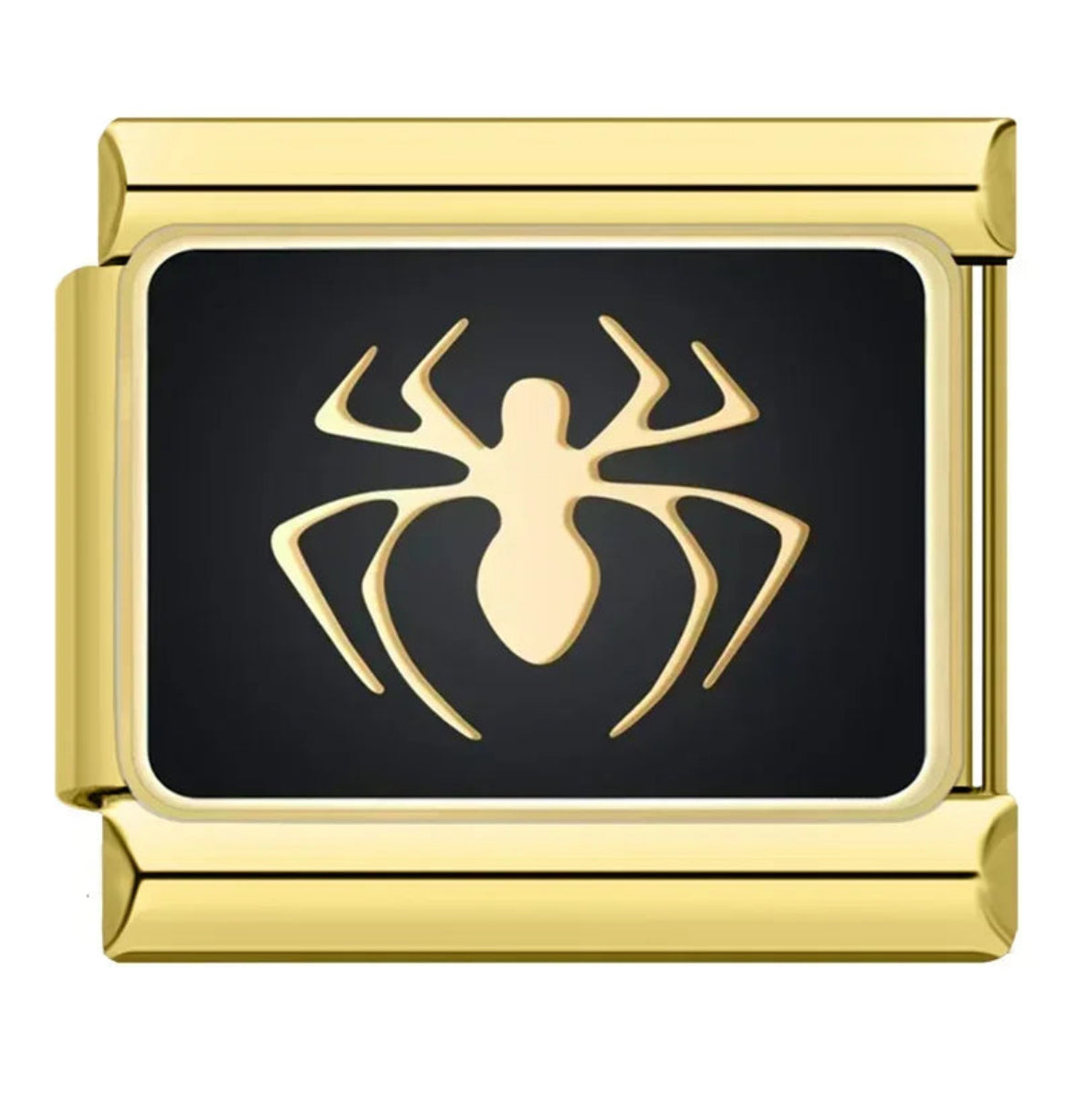 Spinne